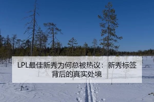 LPL最佳新秀为何总被热议：新秀标签背后的真实处境（ayx）